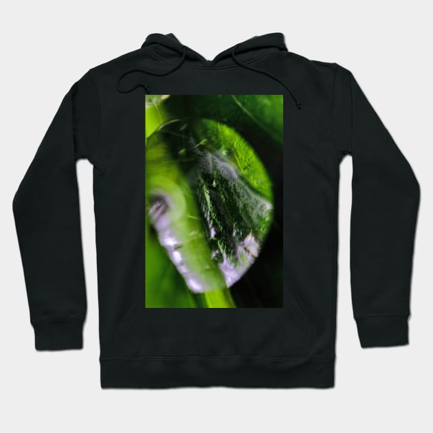 Dew Drop Hoodie by avrilharris